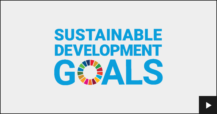 SUSTAINABLE DEVELOPMENT GOALS